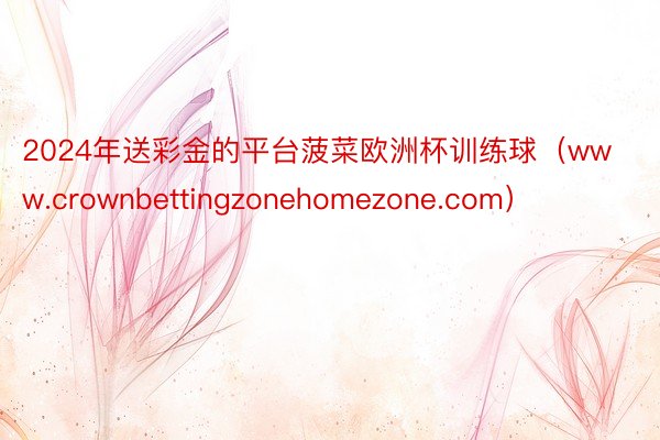 2024年送彩金的平台菠菜欧洲杯训练球（www.crownbettingzonehomezone.com）