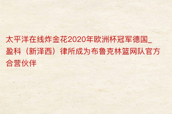 太平洋在线炸金花2020年欧洲杯冠军德国_盈科（新泽西）律所成为布鲁克林篮网队官方合营伙伴