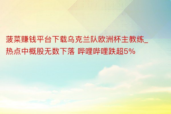 菠菜赚钱平台下载乌克兰队欧洲杯主教练_热点中概股无数下落 哔哩哔哩跌超5%